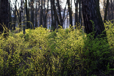 Similar image 21107023