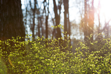 Similar image 21107024