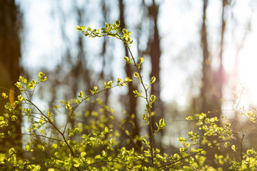 Similar image 21107025