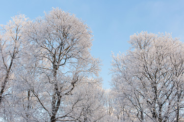 Similar image 21107119