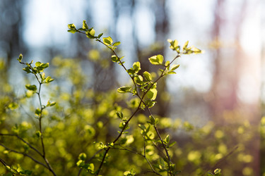 Similar image 21107026