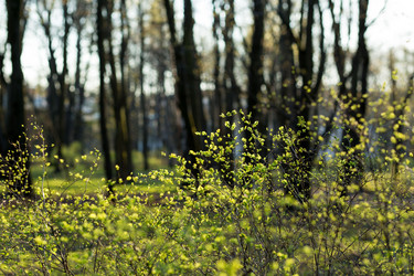 Similar image 21107121