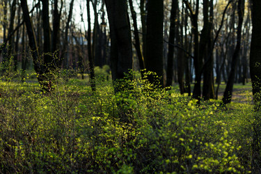 Similar image 21107123