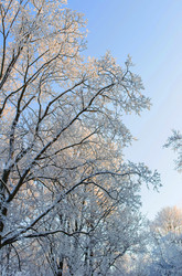 Similar image 21107126