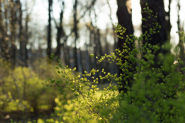 Similar image 21107129