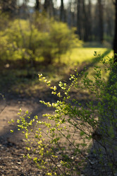 Similar image 21107133