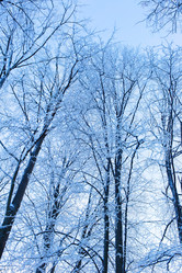 Similar image 21107134