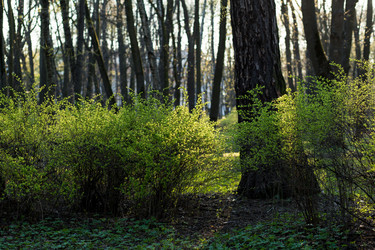 Similar image 21107135