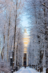 Similar image 21107136