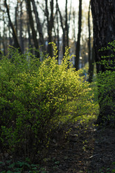 Similar image 21107137