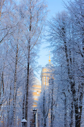 Similar image 21107138