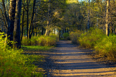 Similar image 21107141