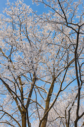 Similar image 21107142