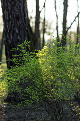 Similar image 21107143