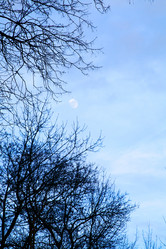 Similar image 21107144