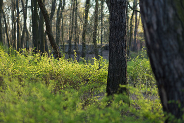 Similar image 21107145