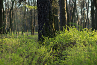 Similar image 21107147