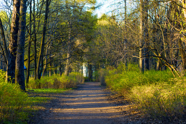 Similar image 21107150