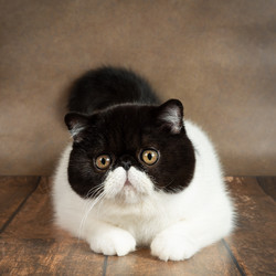 Similar image 21106453