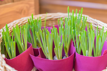 Similar image 21130675