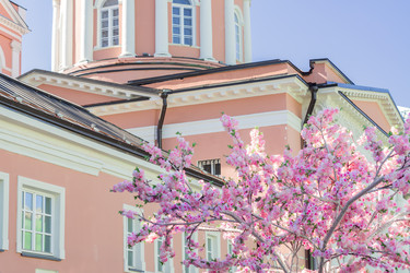 Similar image 21130429