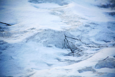 Similar image 21107151