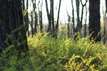 Similar image 21107154