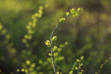 Similar image 21107156