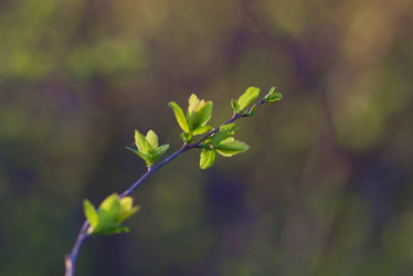 Similar image 21107158