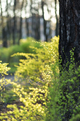 Similar image 21107160