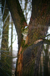 Similar image 21107161