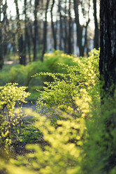 Similar image 21107162