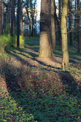 Similar image 21107163