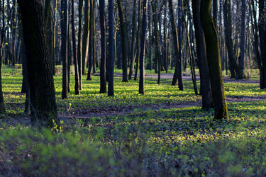 Similar image 21107164