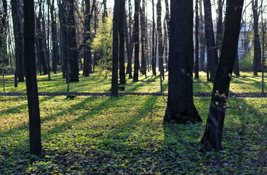 Similar image 21107165