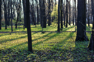 Similar image 21107166