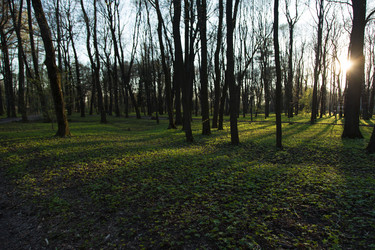 Similar image 21107168