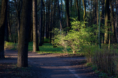 Similar image 21107169