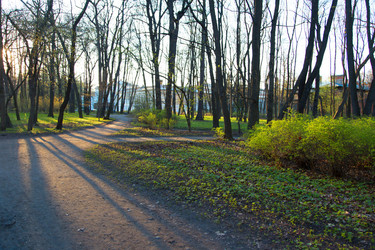 Similar image 21107033