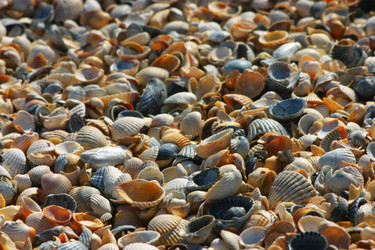 Similar image 21107176