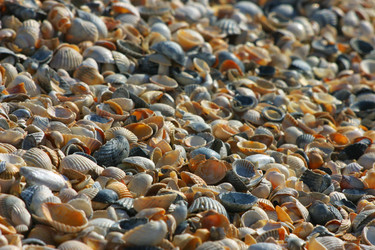 Similar image 21107178