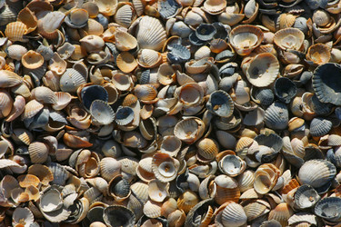 Similar image 21107180