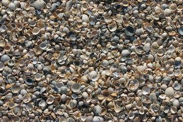 Similar image 21107182