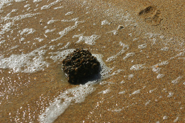 Similar image 21107186