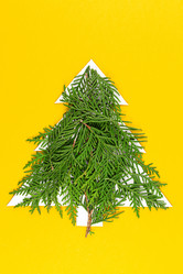 Similar image 21108405