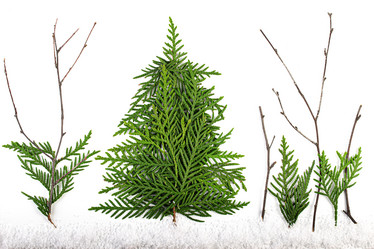 Similar image 21108407