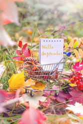 Similar image 21108413