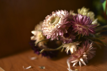 Similar image 21111144