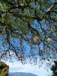 Similar image 21113642