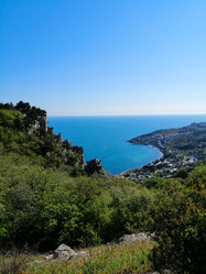 Similar image 21113643